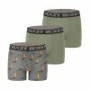 CRAZY BOXERS Boxer Homme Coton Bio Gots Palmier